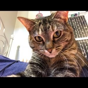 Meet your Posher, Katie